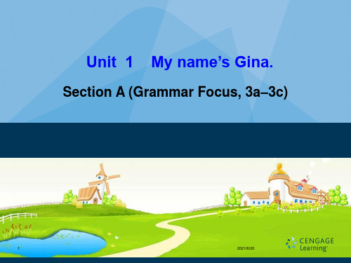 人教版(新目标)七级上Unit1 Section A(Grammar Focus, 3a–3c)课件