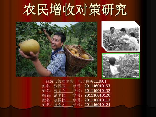 农民增收对策研究( 33)