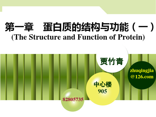 生物化学 01-第一章 蛋白质的结构与功能(一)