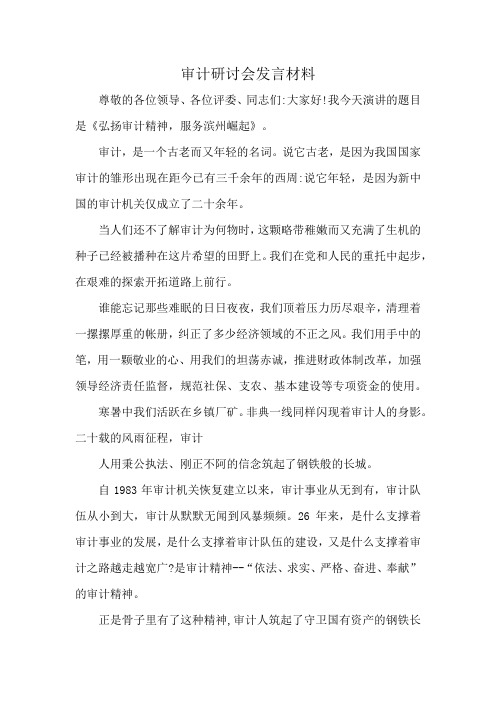 审计研讨会发言材料