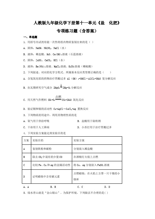 人教版九年级化学下册第十一单元《盐  化肥》专项练习题(含答案)