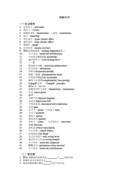 生化习题集  核酸化学