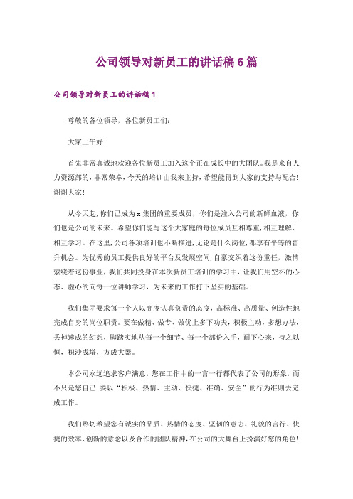 公司领导对新员工的讲话稿6篇