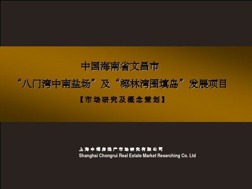 海南省文昌发展项目市场研究及概念策划