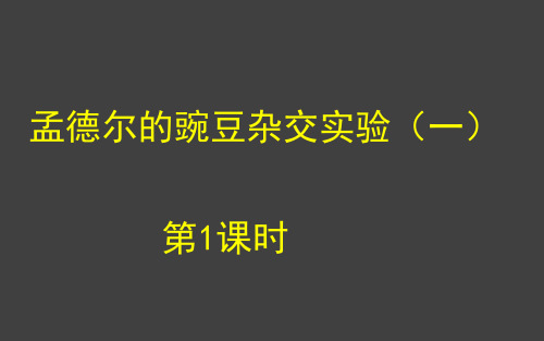 1.1 孟德尔的豌豆杂交实验(一)第1课时 课件-人教版(2019)高中生物必修2遗传与进化