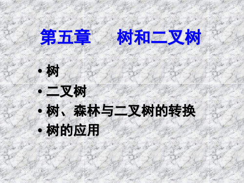 树二叉树树森林与二叉树的转换树的应用课件