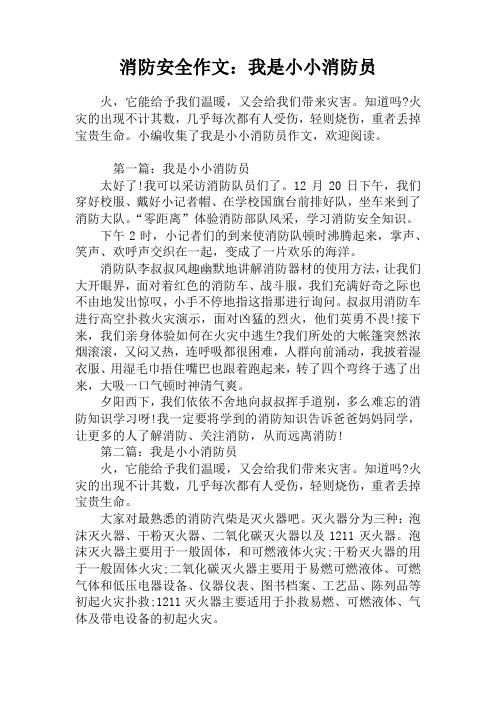 消防安全作文：我是小小消防员