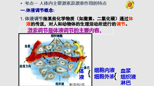 体液调节高三一轮复习PPT课件