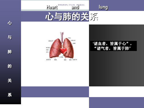 脏腑之间的关系