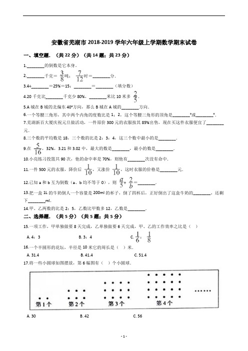 安徽省芜湖市2018-2019学年六年级上学期数学期末试卷