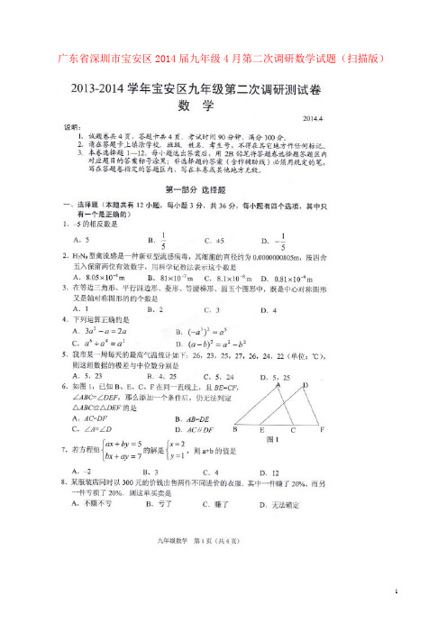 广东省深圳市宝安区九年级数学4月第二次调研试题(扫描