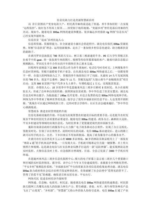 信息化助力打造美丽智慧新农村