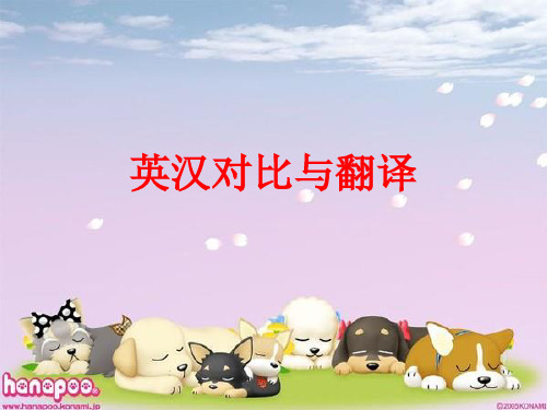 1_综合与分析