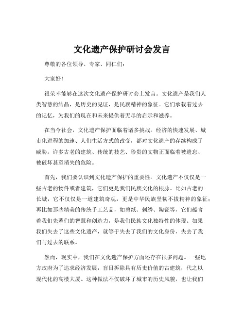 文化遗产保护研讨会发言