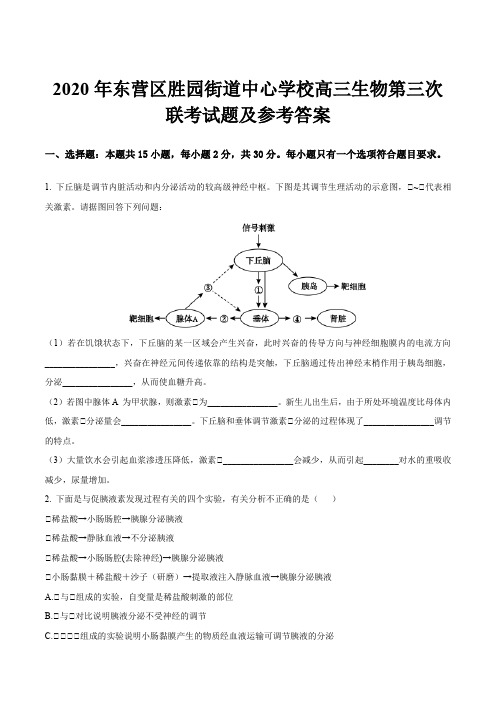 2020年东营区胜园街道中心学校高三生物第三次联考试题及参考答案