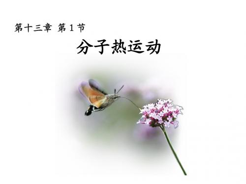 新人教版九年级物理全一册 13.1《分子热运动》课件(共13张PPT)