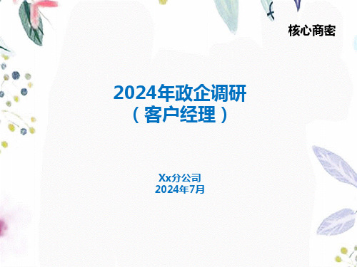 2024年政企调研客户经理模板0725新