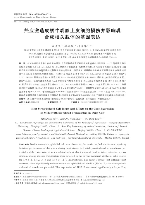 热应激造成奶牛乳腺上皮细胞损伤并影响乳合成相关载体的基因表达