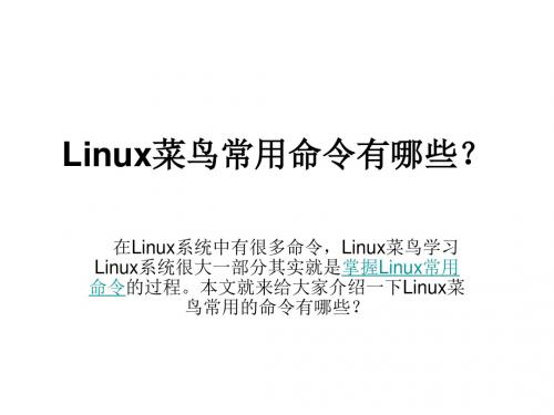 Linux菜鸟常用命令有