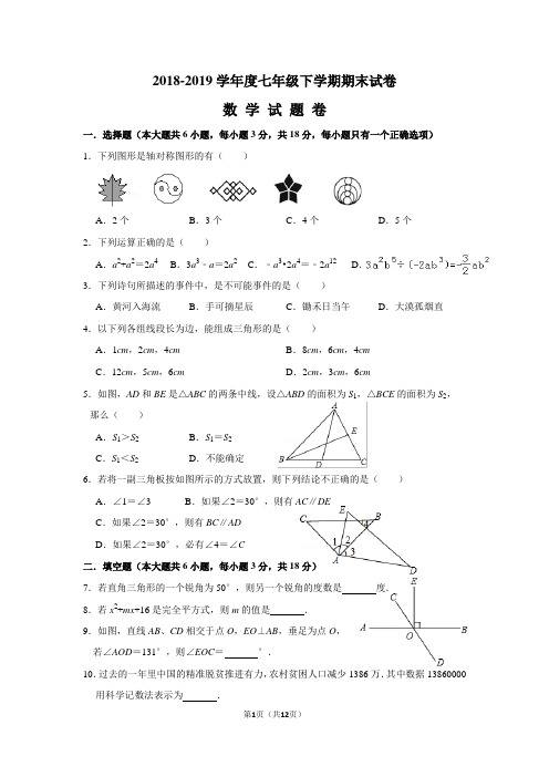 2018-2019学年度七年级下学期期末试卷数学试题卷