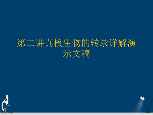 第二讲真核生物的转录详解演示文稿