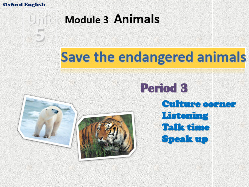 牛津深圳版英语八下Unit 5《Save the endangered animals》ppt课件