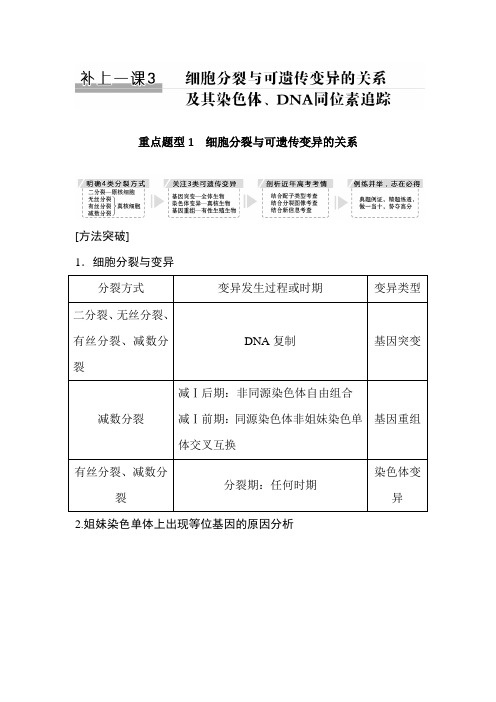 细胞分裂与可遗传变异的关系