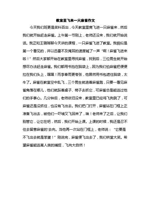 教室里飞来一只麻雀作文