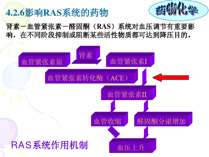 药物化学4影响RAS系统的药物