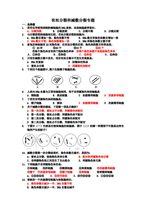 2012-11-29减数分裂作业-打印版