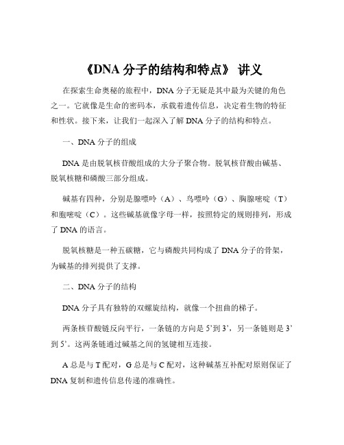 《DNA分子的结构和特点》 讲义