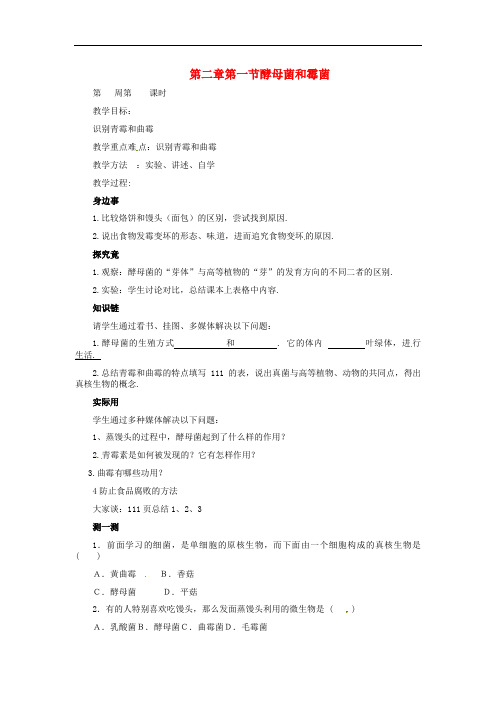 冀教版生物八年级上册《酵母菌和霉菌》同课异构 精品教案 (1)