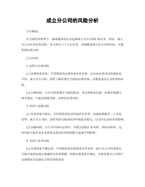 成立分公司的风险分析