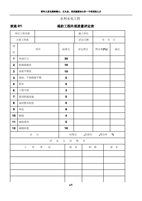 堤防工程外观质量及单元工程质量评定表