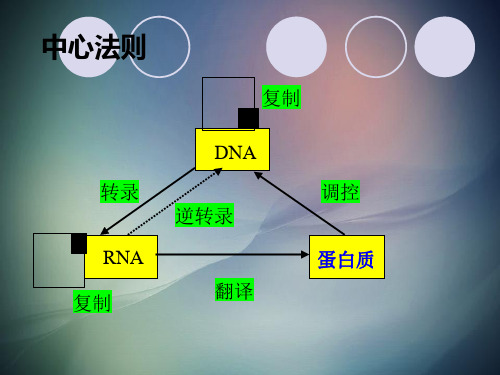 蛋白质和酶专题.ppt