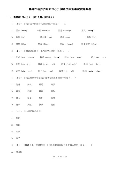 黑龙江省齐齐哈尔市小升初语文毕业考试试卷B卷