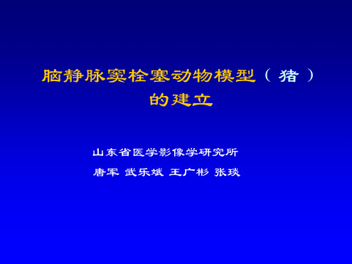 脑静脉窦栓塞动物模型猪的建立精品文档