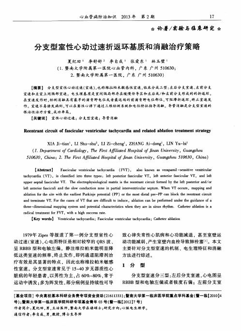 分支型室性心动过速折返环基质和消融治疗策略