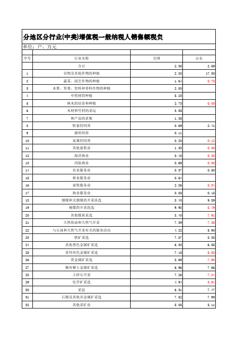 山东分行业(中类)增值税销售额税负状况工作表