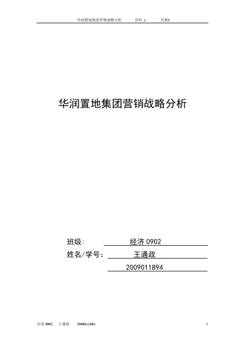 华润置地营销战略分析