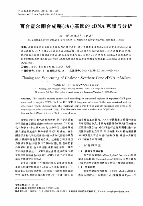 百合查尔酮合成酶(chs)基因的cDNA克隆与分析