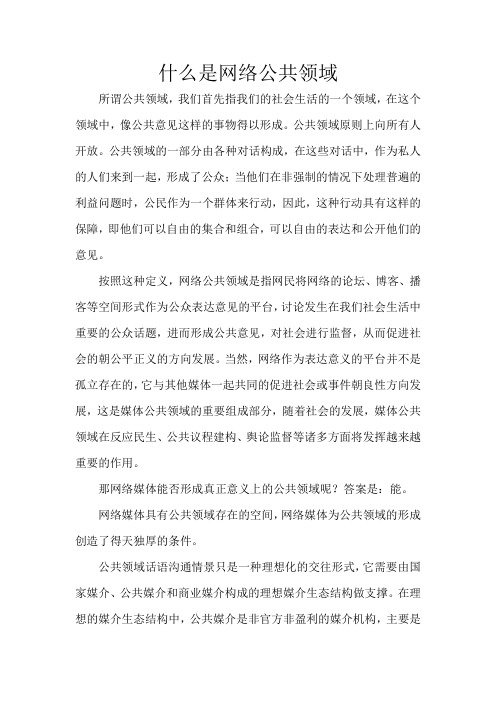 什么是网络公共领域