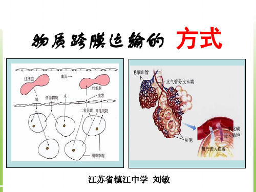 生物必修1第3节物质跨膜运输的方式课件 高一生物课件22页