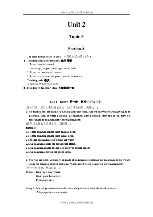 湘教版-英语-九上--Topic 3 (Topic3教案)