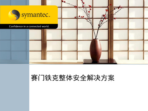 SYMANTEC整体安全解决方案