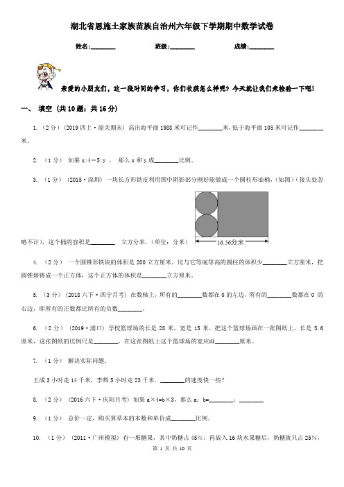 湖北省恩施土家族苗族自治州六年级下学期期中数学试卷