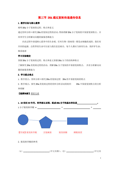 高中生物第三章遗传的分子基础第三节DNA通过复制传递遗传信息学案1浙科版必修2