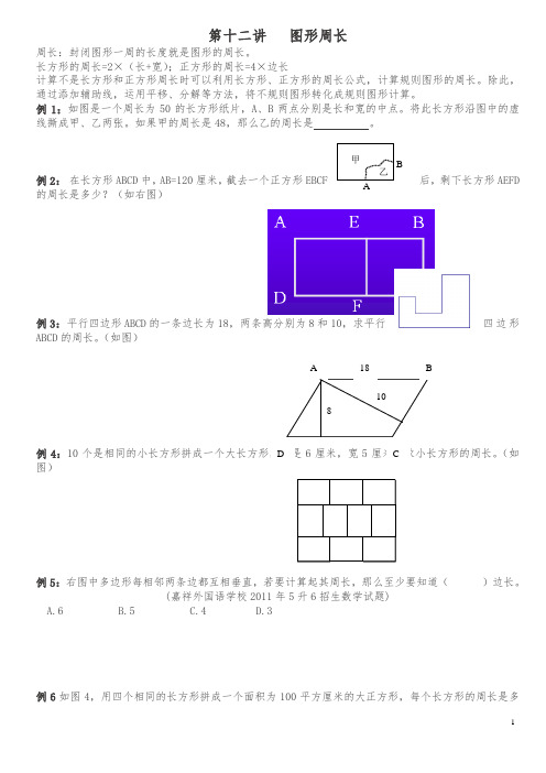 五年级下册数学试题-五升六讲义第12讲图形周长(奥数版块)北师大版(含答案)