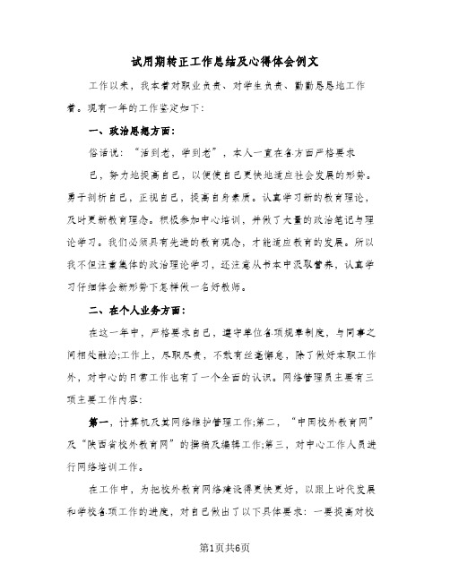 试用期转正工作总结及心得体会例文(3篇)