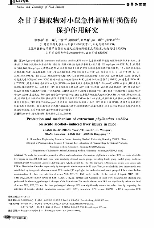 余甘子提取物对小鼠急性酒精肝损伤的保护作用研究